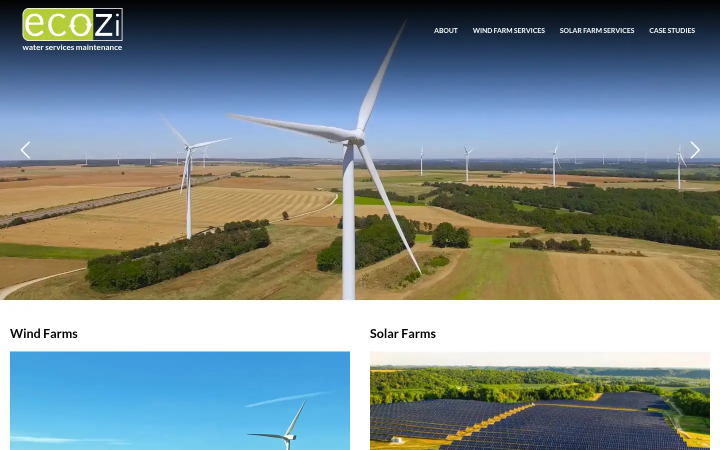 Screenshot of ecozi.com