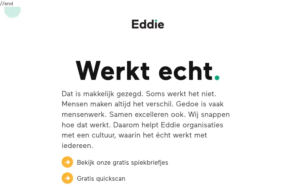 Screenshot of eddys.nl