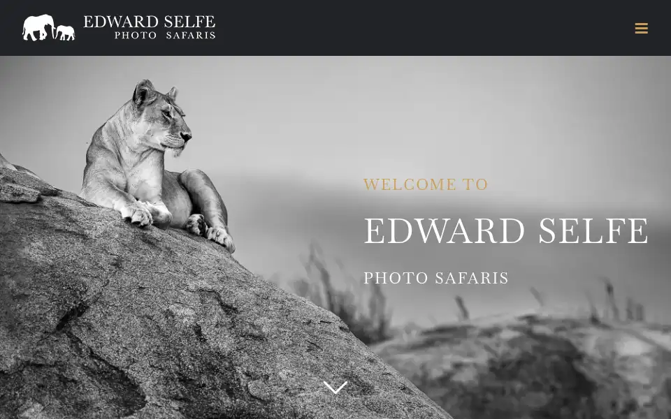 Screenshot of edwardselfephotosafaris.com
