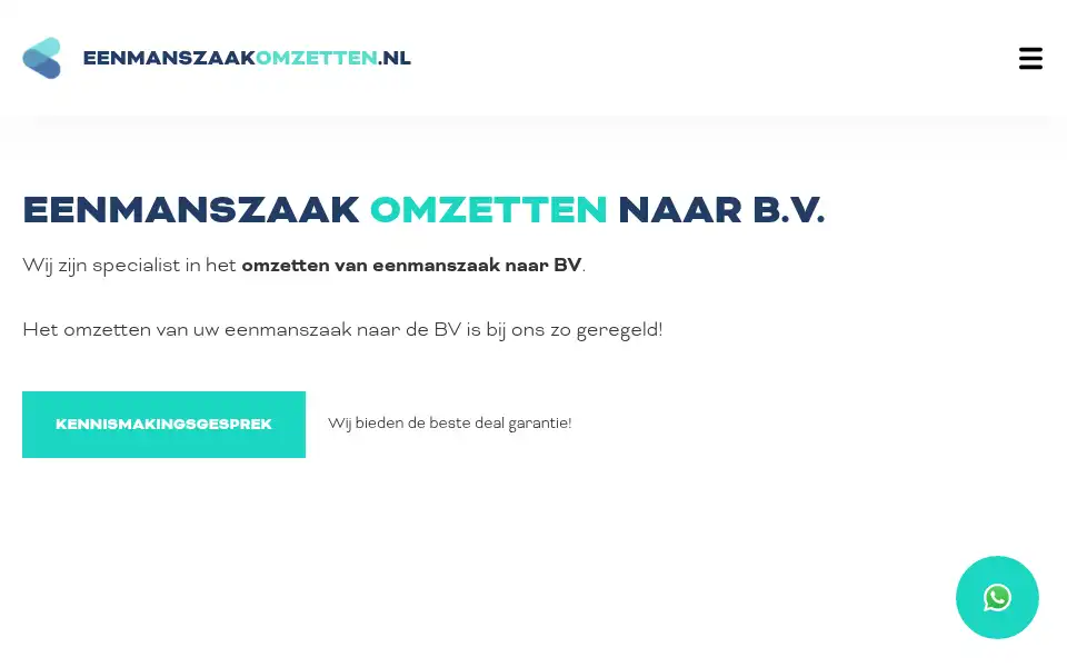 Screenshot of eenmanszaakomzetten.nl