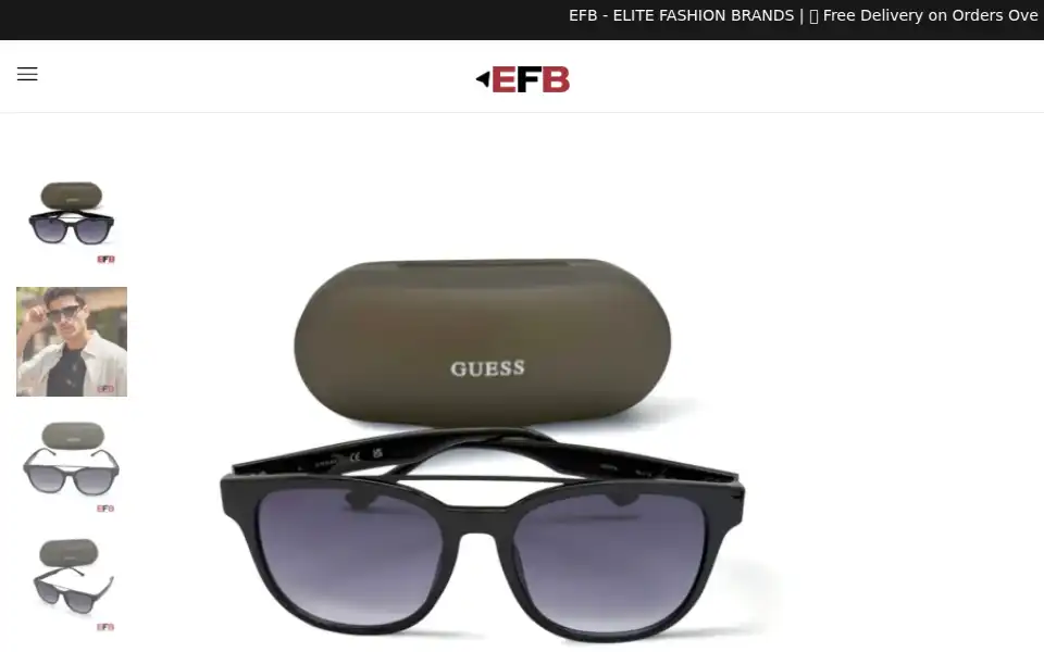 Screenshot of efb-usa.com