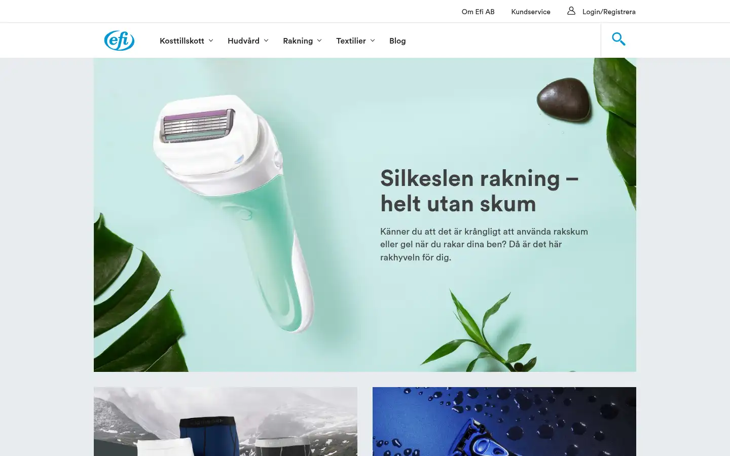 Screenshot of efi.se
