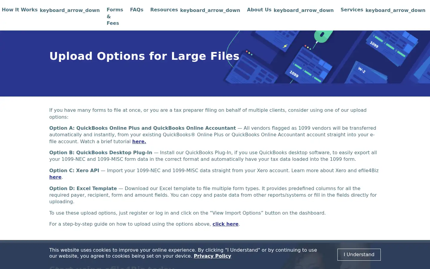 Screenshot of efile4biz.com