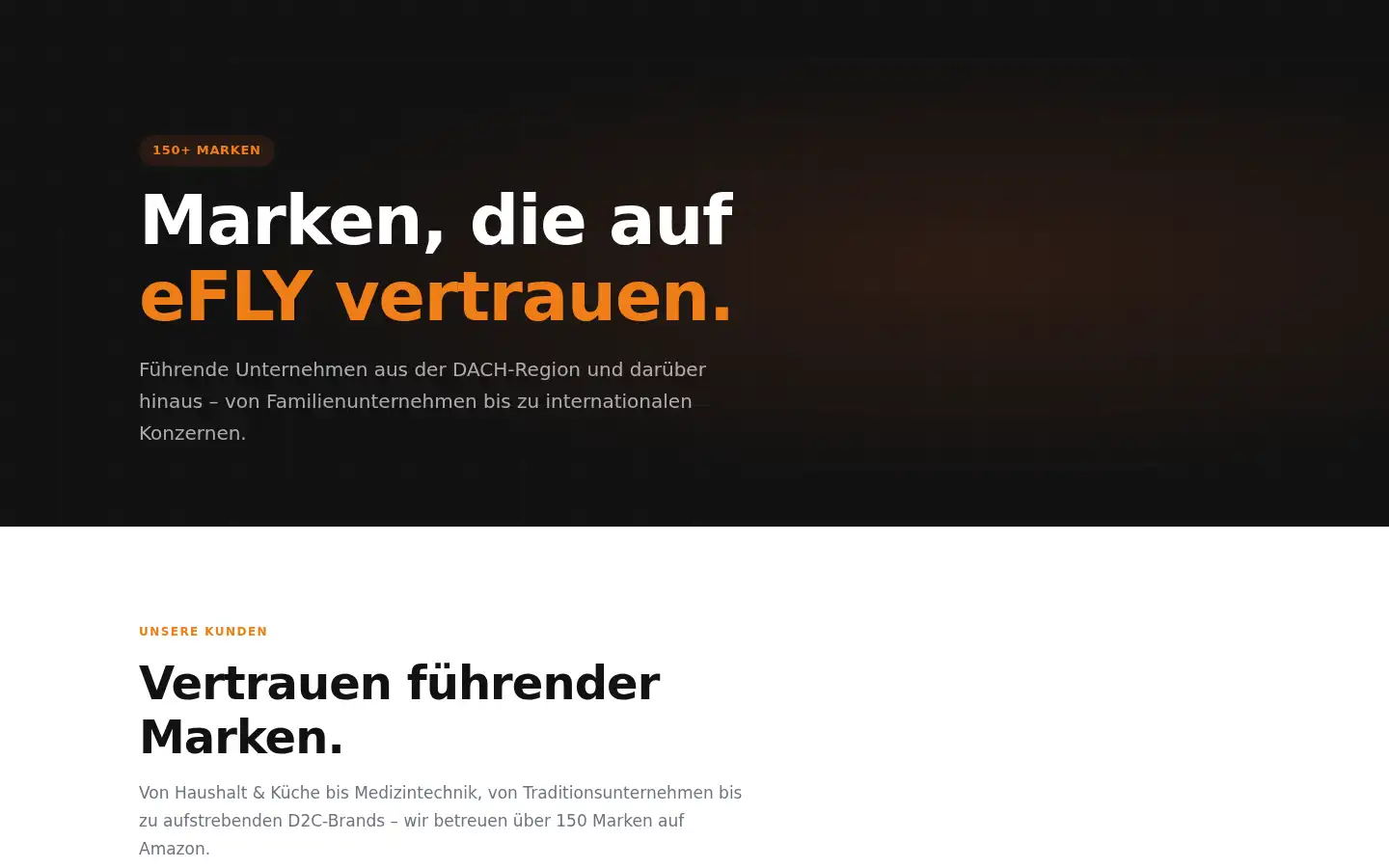 Screenshot of efly-amz.com