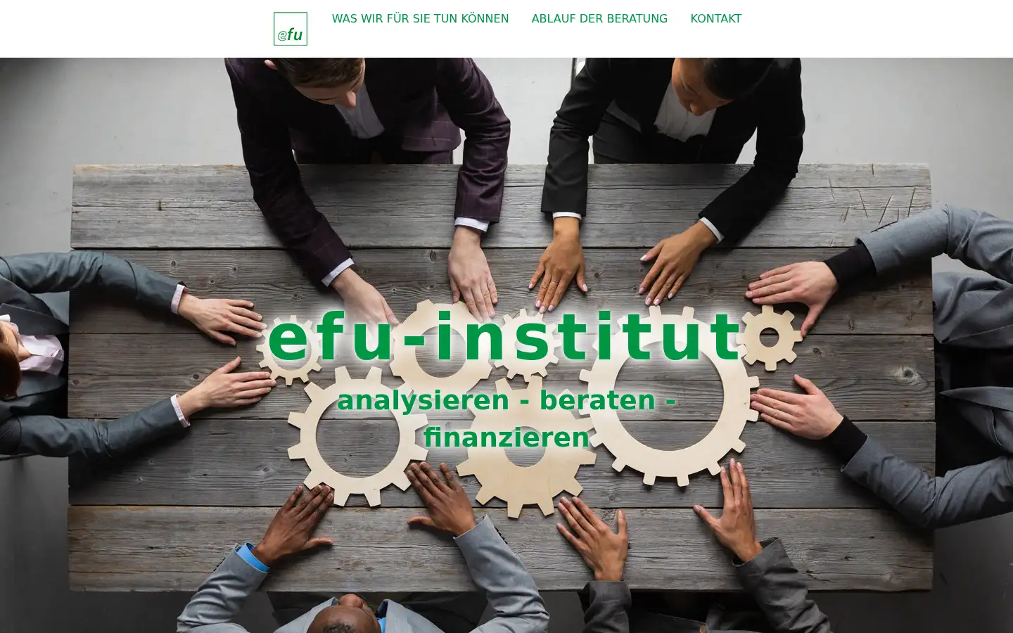 Screenshot of efu-institut.com