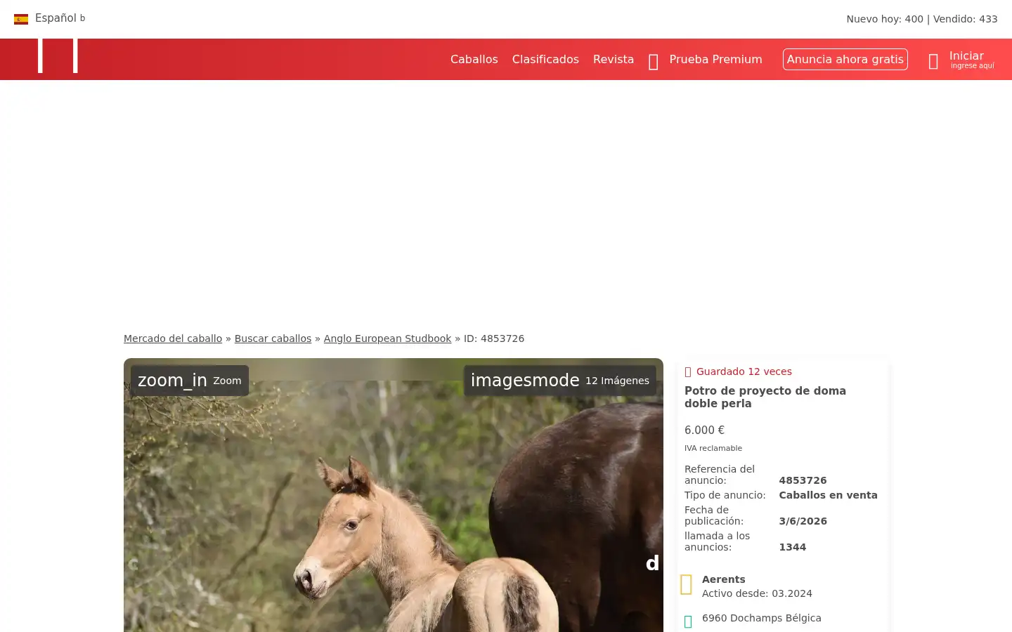 Screenshot of ehorses.es