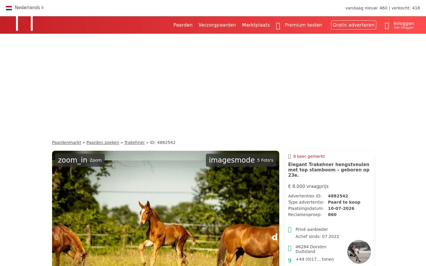 Screenshot of ehorses.nl