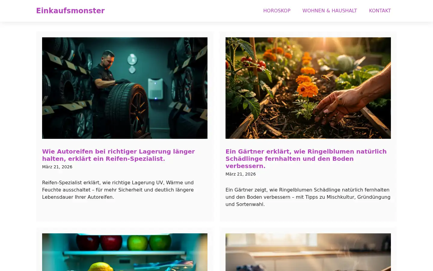 Screenshot of einkaufsmonster.de