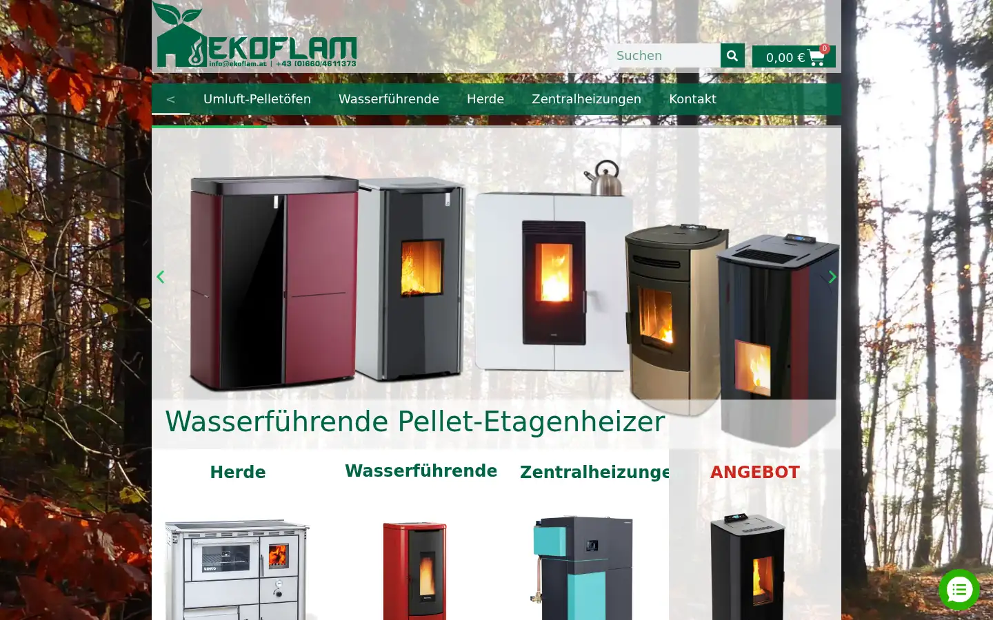 Screenshot of ekoflam.at
