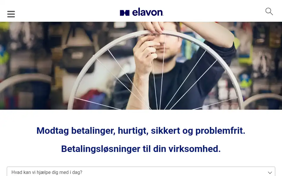 Screenshot of elavon.dk