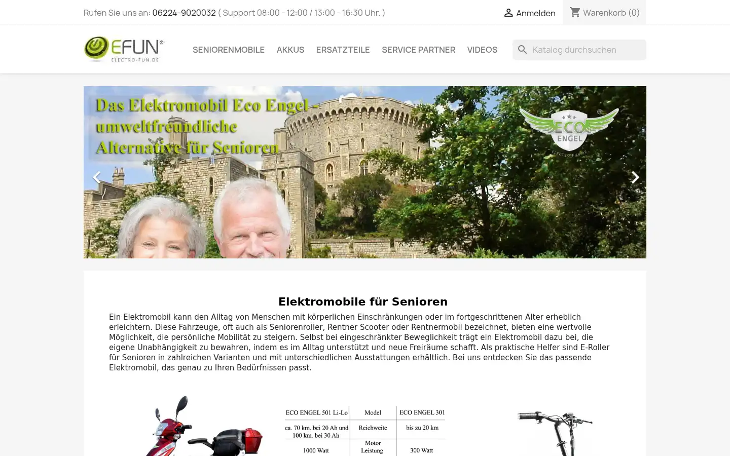 Screenshot of electro-fun.de