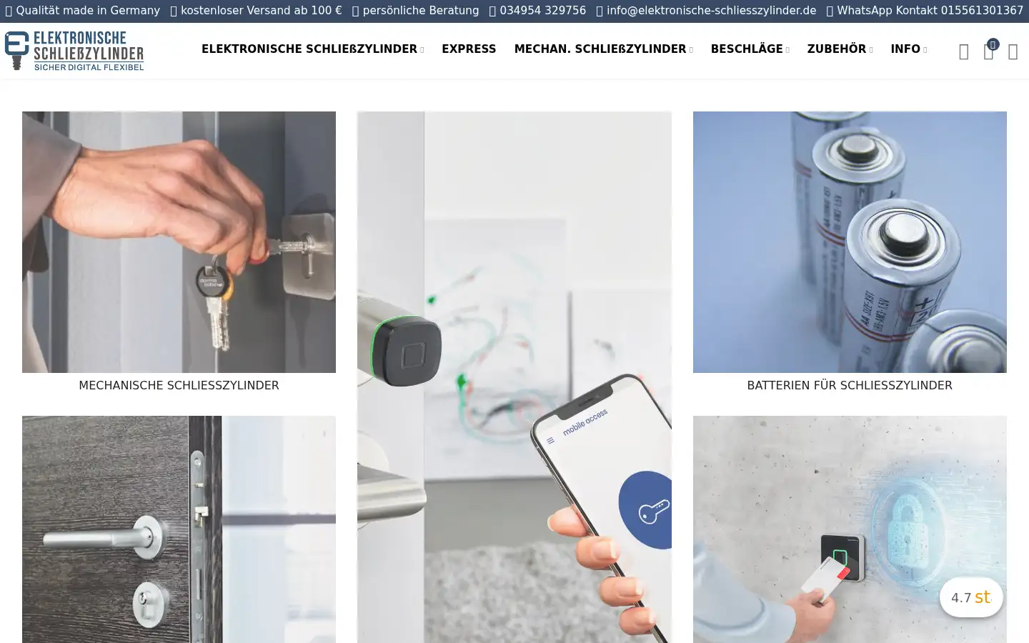 Screenshot of elektronische-schliesszylinder.de