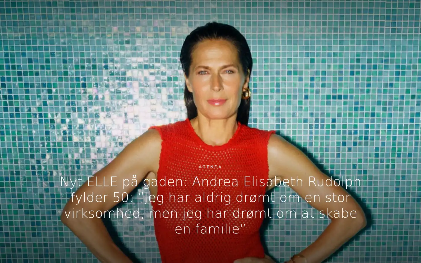 Screenshot of elle.dk