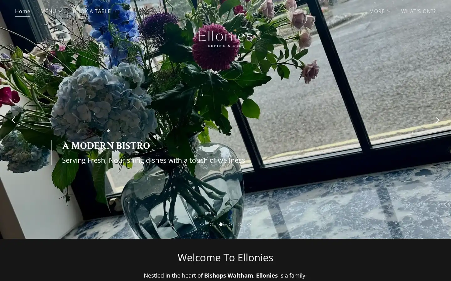 Screenshot of ellonies-ltd.com