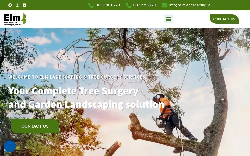 Screenshot of elmlandscaping.ie