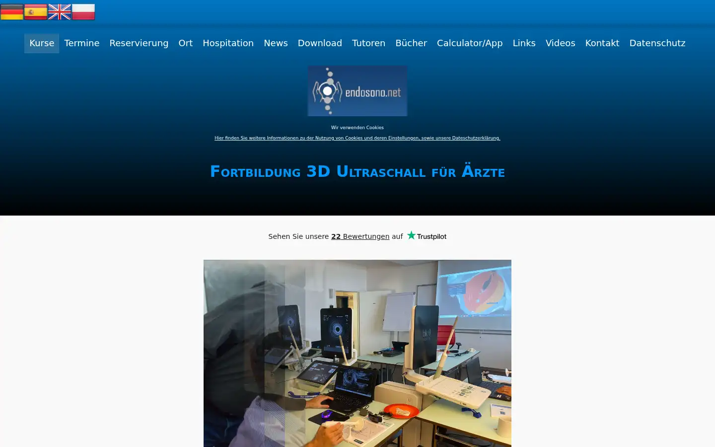 Screenshot of endosono.org