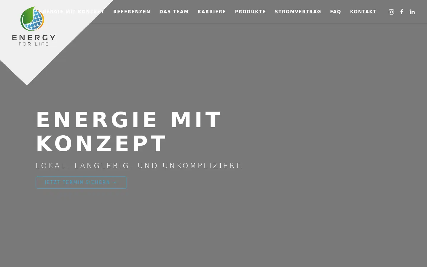 Screenshot of energy-forlife.de