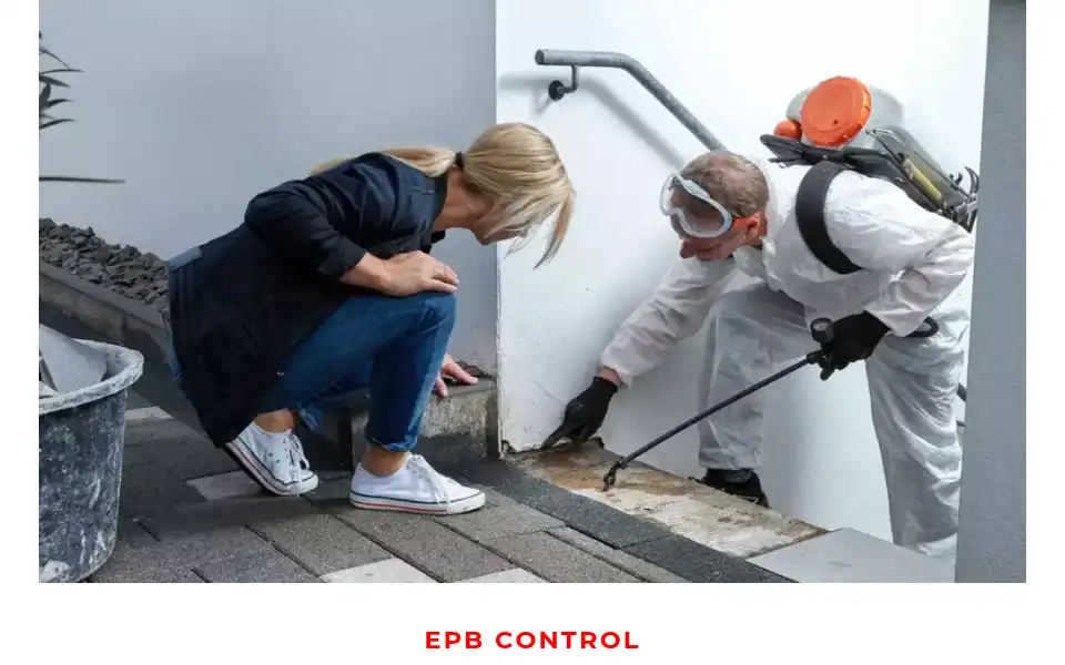Screenshot of epbcontrol.co.uk