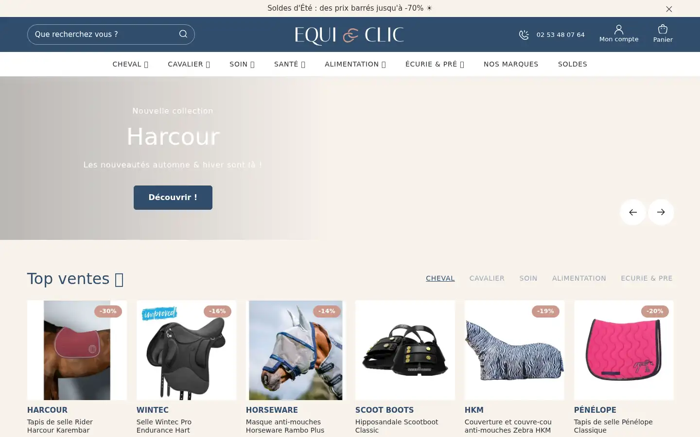 Screenshot of equi-clic.com
