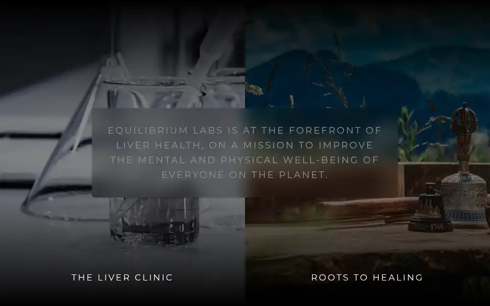 Screenshot of equilibriumlabs.com