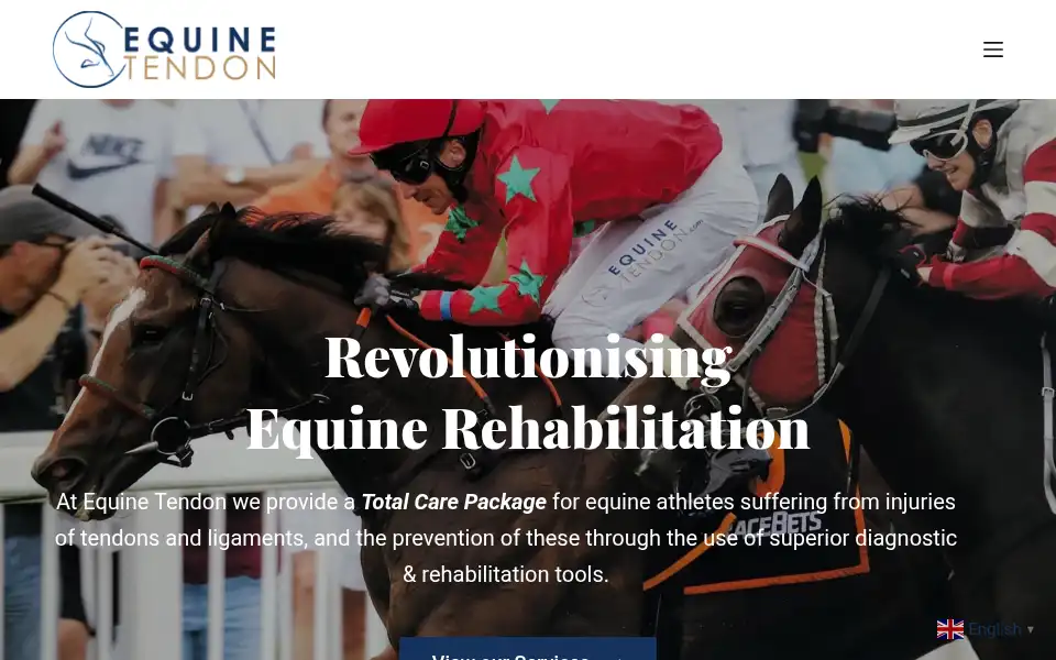 Screenshot of equinetendon.com