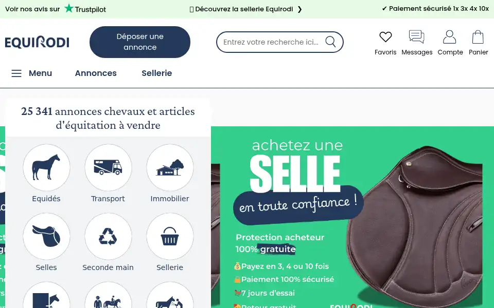 Screenshot of equirodi.com