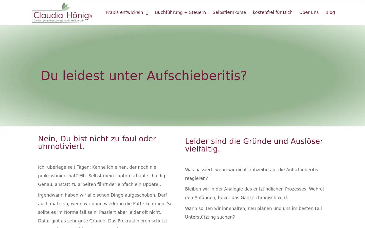 Screenshot of erfolg-in-heilberufen.de