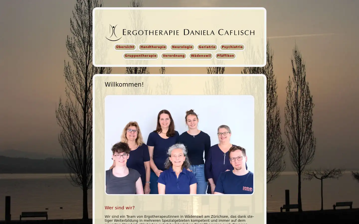 Screenshot of ergocaflisch.ch