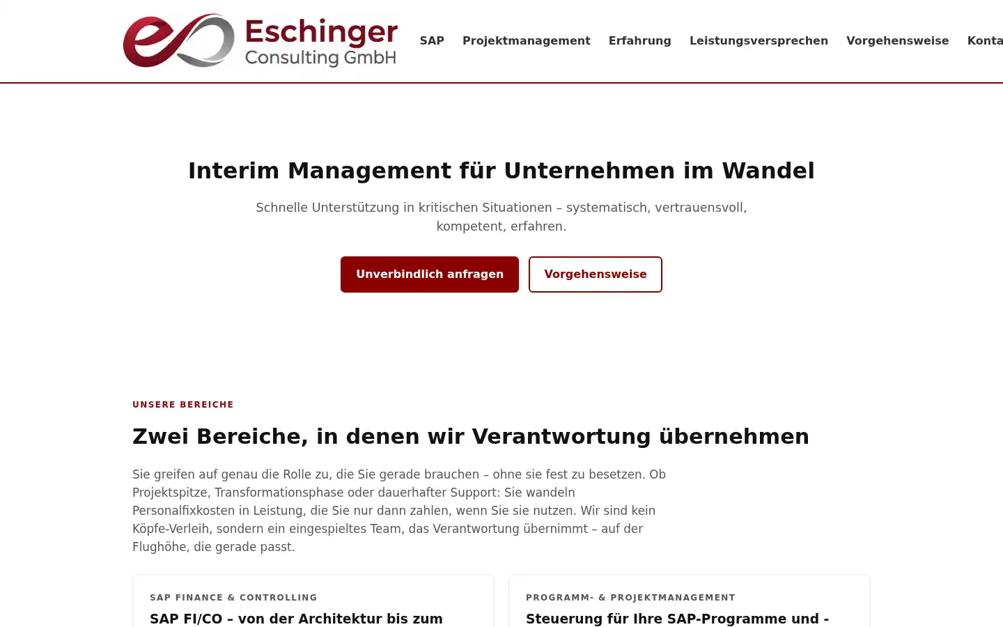 Screenshot of eschinger-consulting.com
