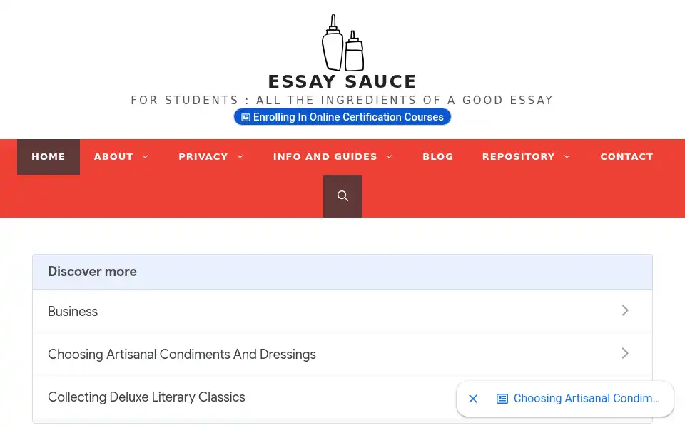 Screenshot of essay.uk.com