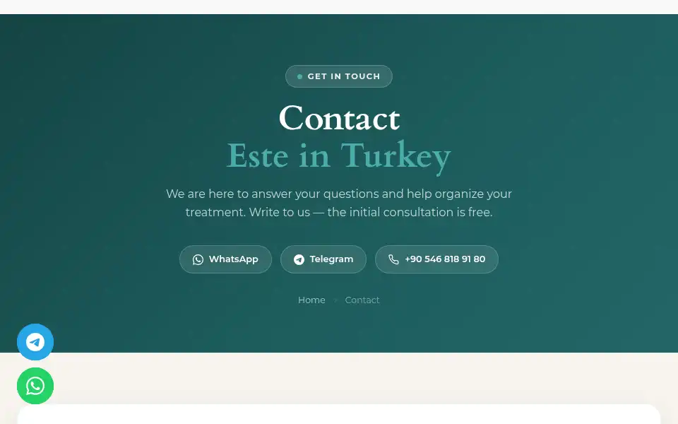 Screenshot of esteinturkey.com