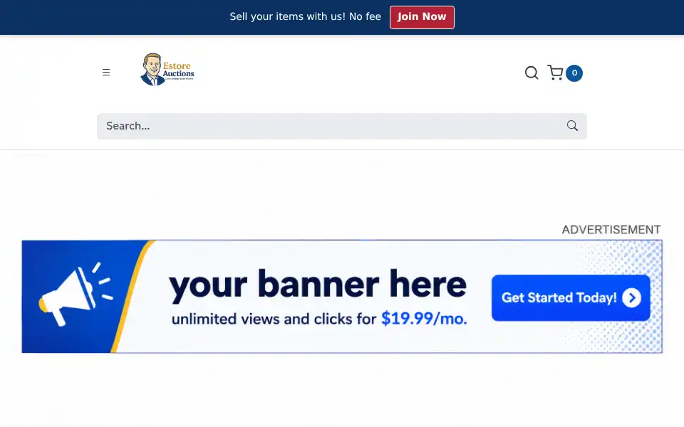 Screenshot of estoreauctions.com
