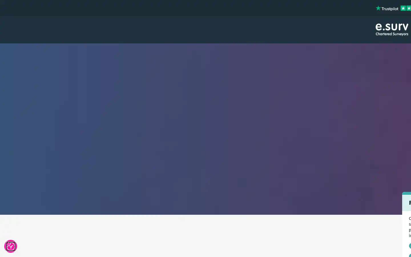 Screenshot of esurv.co.uk