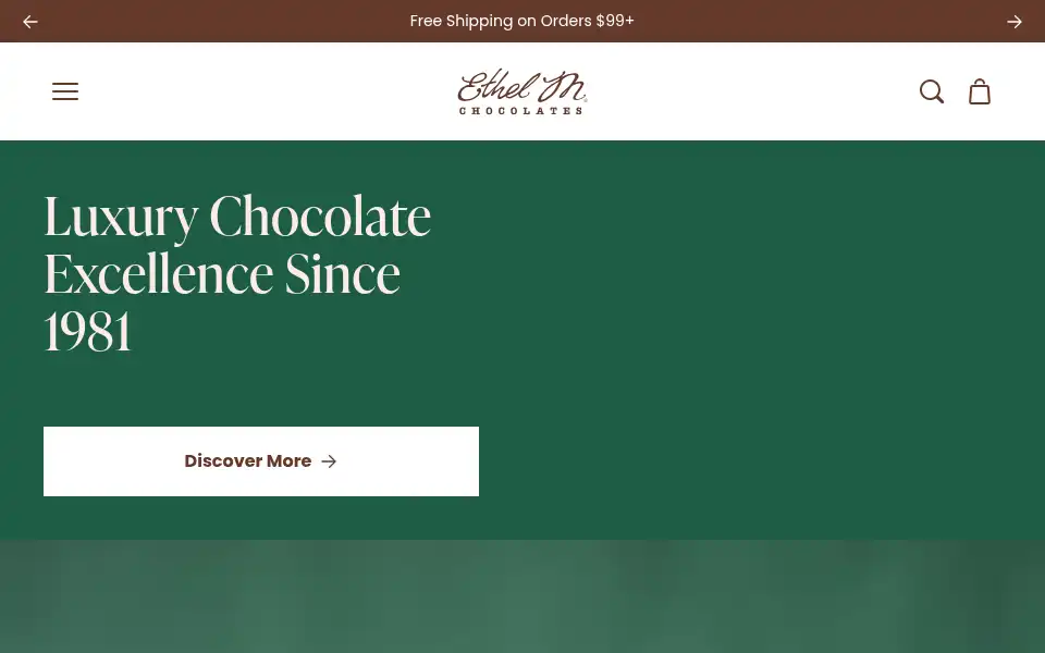 Screenshot of ethelm.com