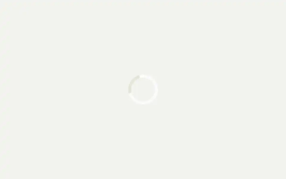 Screenshot of ethnoplanet.dk