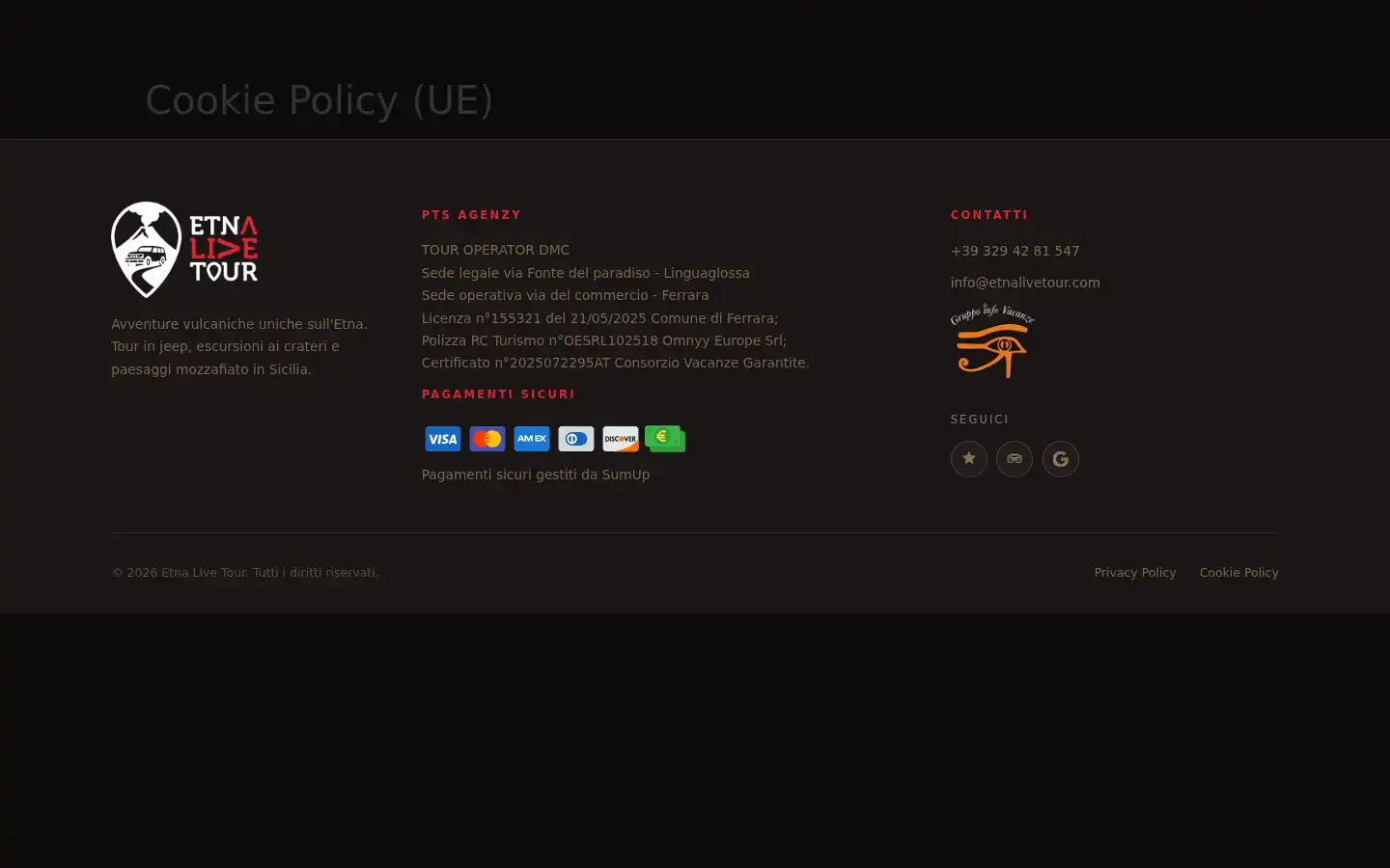 Screenshot of etnalivetour.com