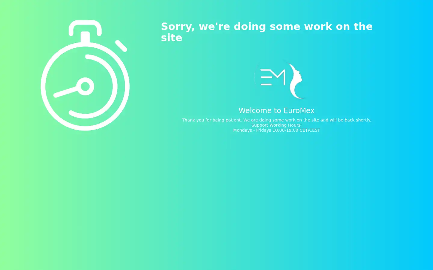 Screenshot of euromexde.com