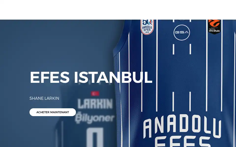 Screenshot of euroteams-basketball.com