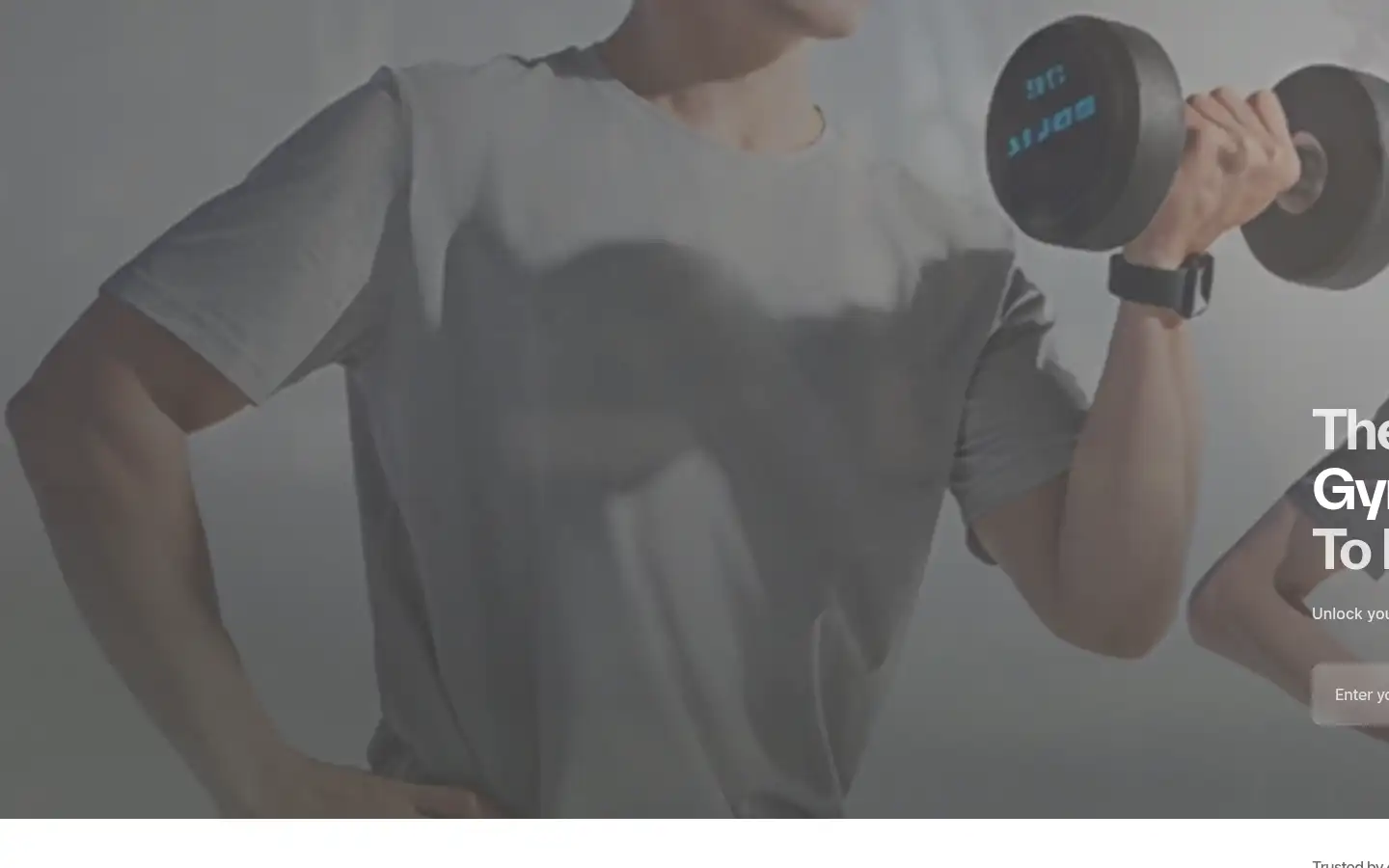 Screenshot of everfit.io