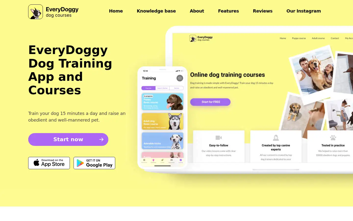 Screenshot of everydoggy.com