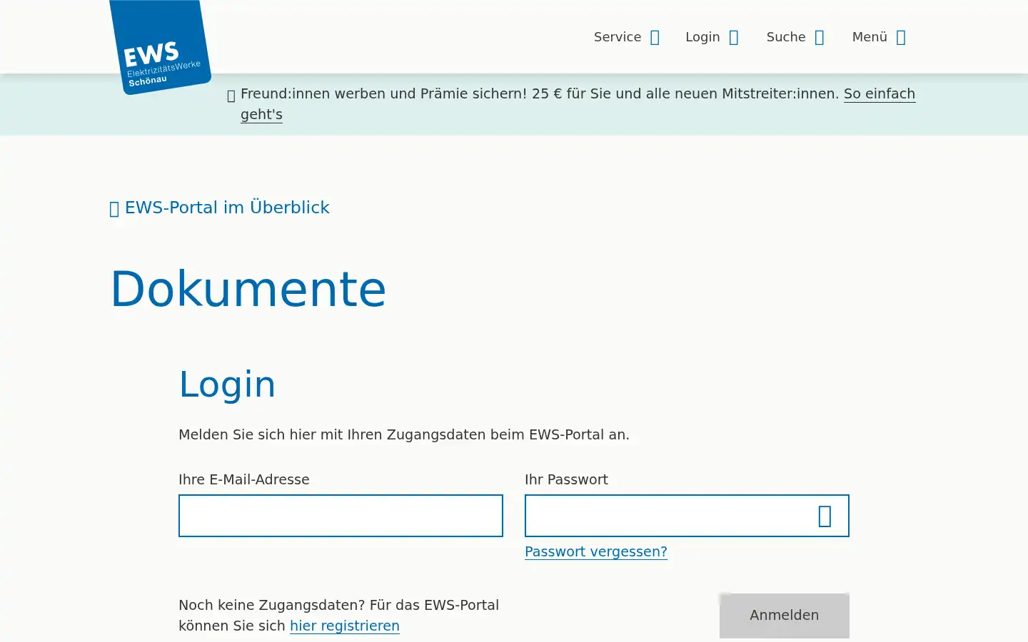 Screenshot of ews-schoenau.de