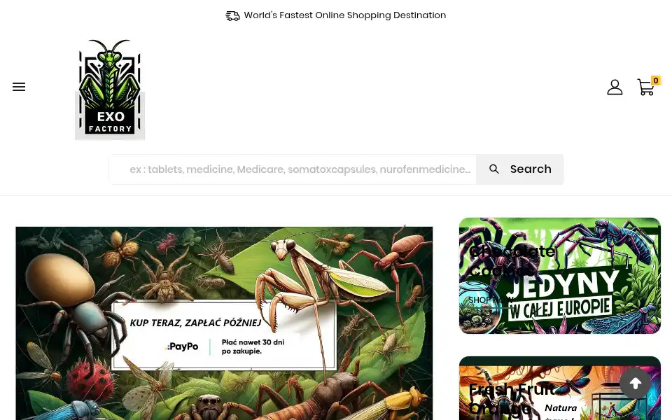 Screenshot of exo-factory.pl