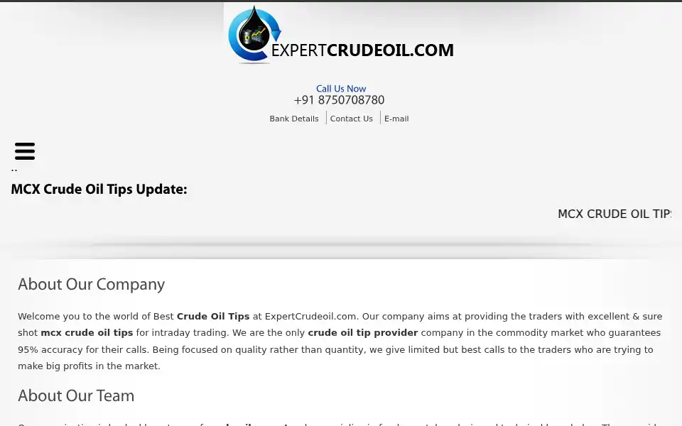 Screenshot of expertcrudeoil.com