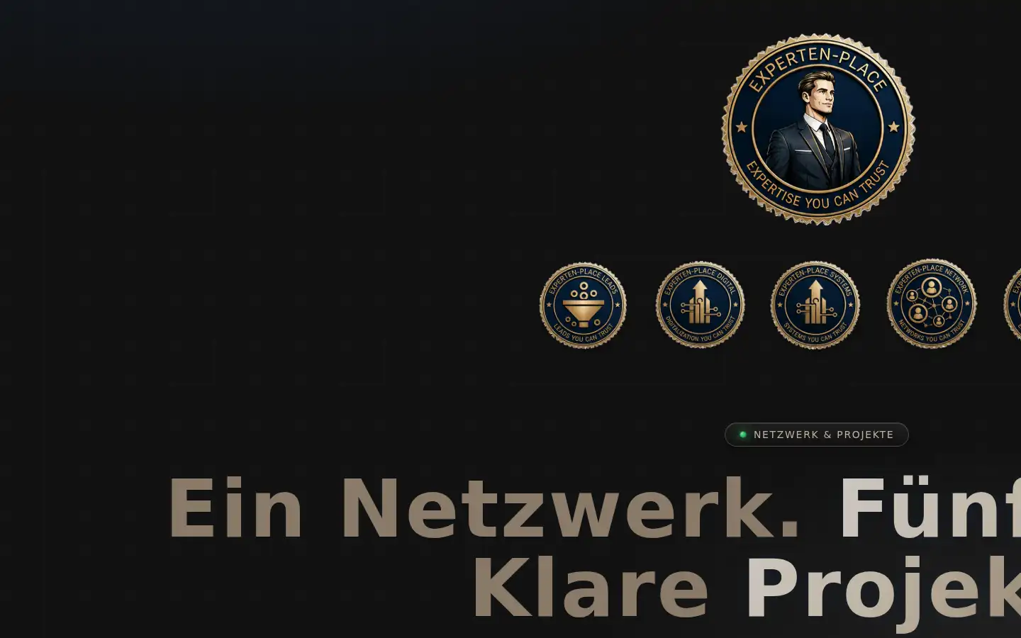 Screenshot of experten-place.eu
