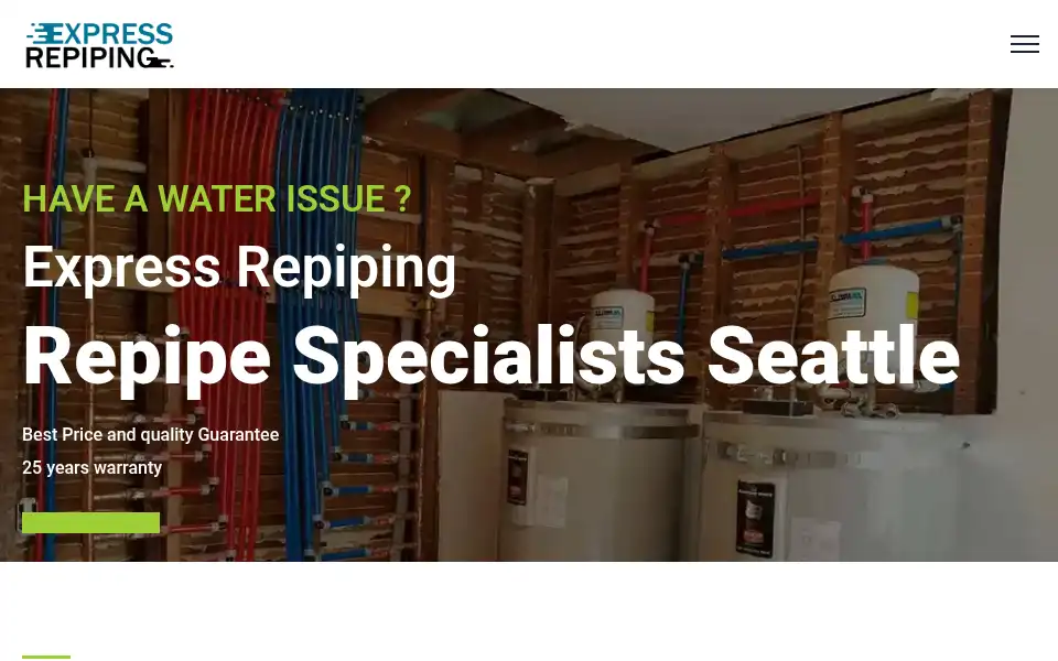 Screenshot of expressrepiping.com