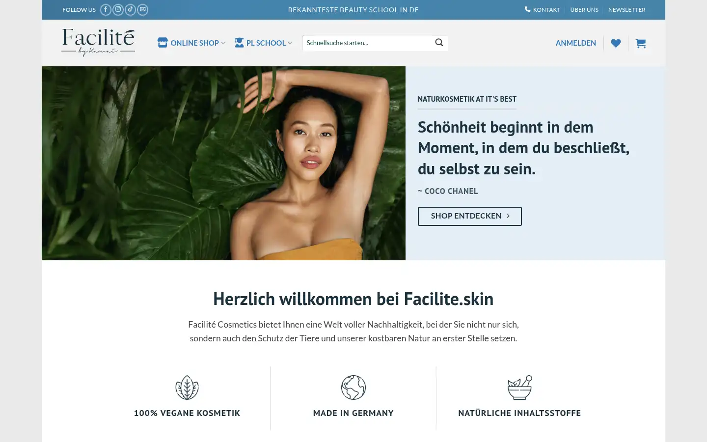 Screenshot of facilite.skin