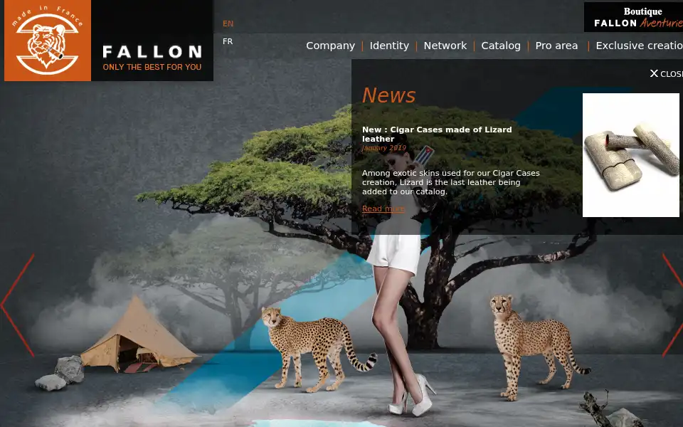 Screenshot of falloncuir.com