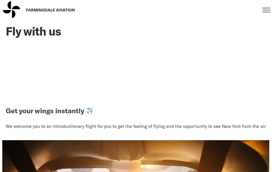 Screenshot of farmingdaleaviation.com