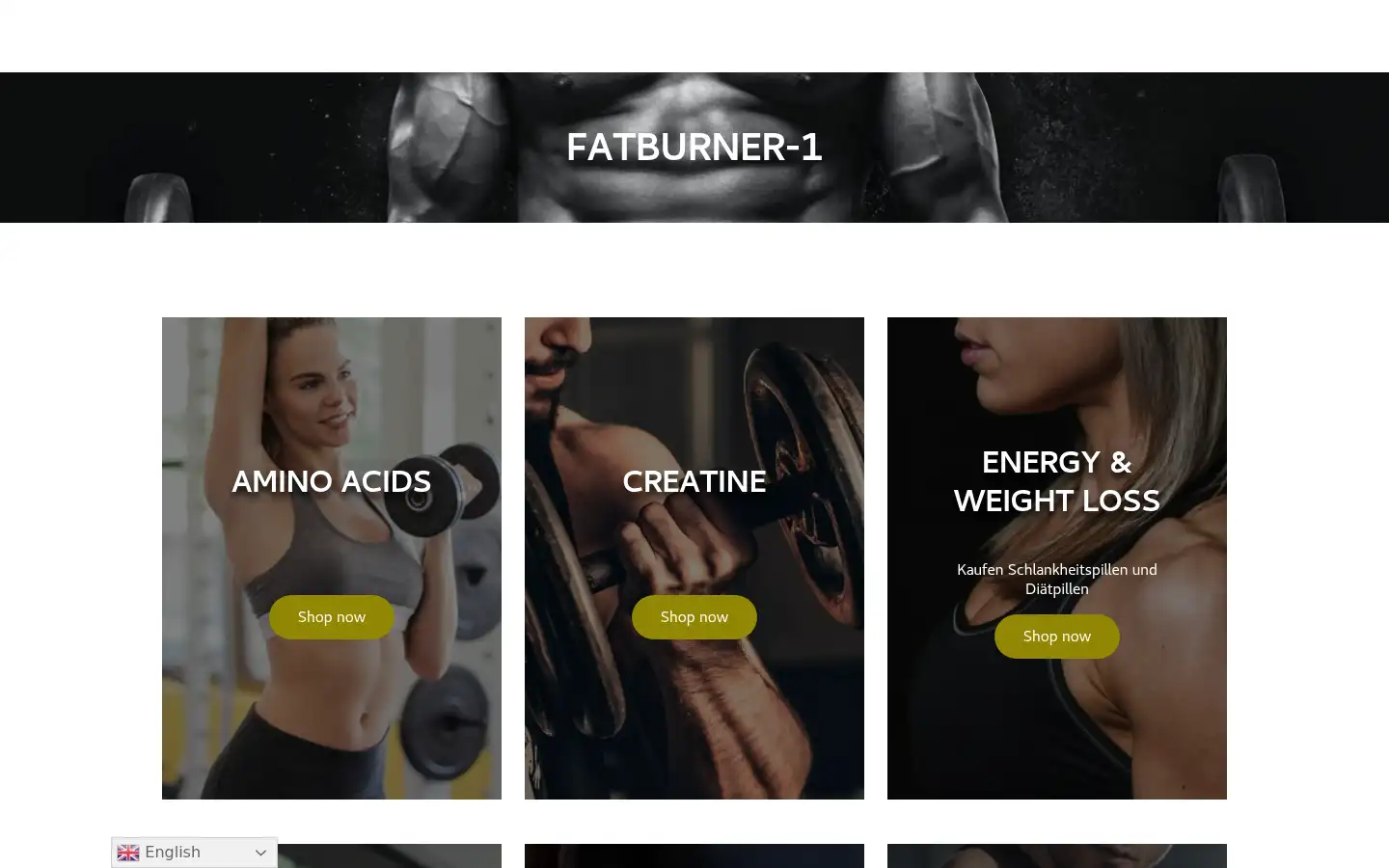 Screenshot of fatburner-1.com