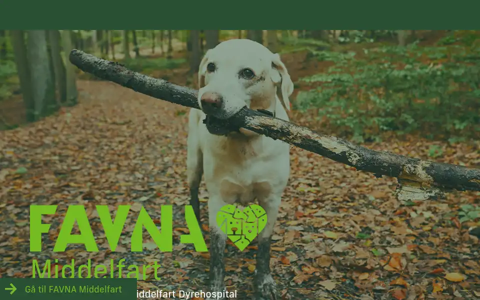 Screenshot of favna.dk